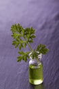 Wormwood herb essence Royalty Free Stock Photo