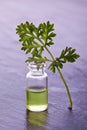 Wormwood herb natural medicine Royalty Free Stock Photo