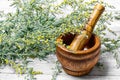 Wormwood and mortar Royalty Free Stock Photo