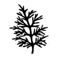 Wormwood plant. Vector stock illustration eps10. Isolate on white background, outline, hand drawing.