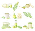 Wormwood or Southernwood Plant Yellow Extraction and Herbal Tea in Mug Vector Composition Set