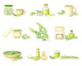 Wormwood or Southernwood Plant Yellow Extraction and Herbal Tea in Mug Vector Composition Set