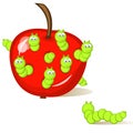 Wormy apple Royalty Free Stock Photo