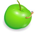 Wormy apple Royalty Free Stock Photo