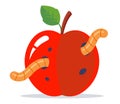 wormy red apple with a green leaf. Royalty Free Stock Photo