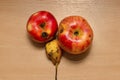 Wormy and rotten fruits on the table. Rotten apple and pear