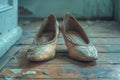 Worn Ballet Slippers on a Vintage Wooden Floor The soft leather blurs against the grain Royalty Free Stock Photo