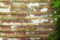 Worn corrugated metal steel sheeting with peeling paint with green grass and leaves side. Background of the old rust sheet. Grunge