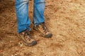Worn and dirty work shoes with bluejeans scrunched at top with worn and stained knees - cropped legs of man standing on straw and Royalty Free Stock Photo