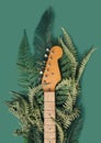 Worn electric guitar maple neck with foliage background.