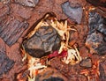 Worn and Eroded Red Rocks, Kings Canyon, Red Centre, Australia Royalty Free Stock Photo