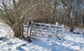 Worn gate in snowy field