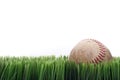 A worn leather baseball in grass