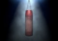 Worn Leather Punching Bag