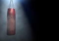 Worn Leather Punching Bag