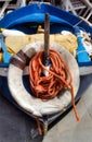 Worn Life Buoy and Rope on a Small Boat in Vernazza, Italy