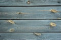 Worn old gray  horizontal wooden boards with scratches and circles from knots. Royalty Free Stock Photo