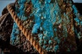 Worn old rusty mooring bollard with heavy ropes on the pier, closeup. Front view Royalty Free Stock Photo