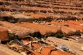 Worn orange tile roof.