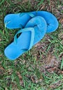 Worn out blue thongs or flip flops against worn down lawn grass.