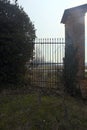 Worn out gate with a plant growing on it Royalty Free Stock Photo