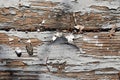 worn painted deck boards with peeling paint in the backyard Royalty Free Stock Photo