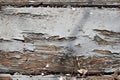 worn painted deck boards with peeling paint in the backyard Royalty Free Stock Photo