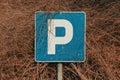 Worn parking sign against bush branches Royalty Free Stock Photo