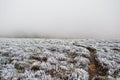 Worn path on frozen mountain grass with fog on the horizon.
