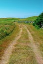 Worn path on a rural road in Prince Edward Island, Canada Royalty Free Stock Photo