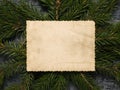 A worn sheet of old paper against a background of green fir branches. Royalty Free Stock Photo