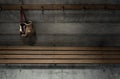 Worn Vintage Boxing Gloves Hanging In Change Room Royalty Free Stock Photo