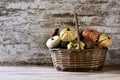 Basket with an assortment of different pumpkins