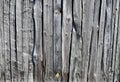 Worn wood background Royalty Free Stock Photo