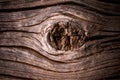 Worn Wood On Rustic Fence Post