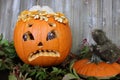 A stressed looking carved pumpkin with his brains coming out and a toy rat Royalty Free Stock Photo