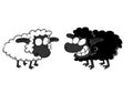 Worried White Sheep And Smiling Black Sheep