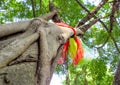 Worship with colored ribbons at the holy banyan tree Royalty Free Stock Photo