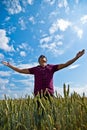 Worship - man in a wheat field Royalty Free Stock Photo