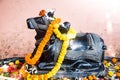 Worship of the sacred bull Nandi. the Indian tourism.