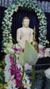 Worship to Lord Buddha Royalty Free Stock Photo