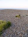Worthing stony beach before sunrise Royalty Free Stock Photo