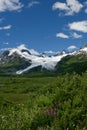 Worthington Glacier Royalty Free Stock Photo