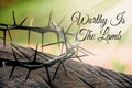 Worthy is the Lamb quote with shining Crown of thorns background. Christianity concept. Royalty Free Stock Photo