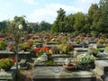 Worzeldorfer Cemetery Nuremberg, one of three the oldest cemeteries in Europe