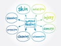 Wound Healing mind map, health concept for presentations and reports Royalty Free Stock Photo