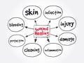 Wound Healing mind map, health concept for presentations and reports