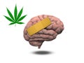 Wounded Brain with Marijuana Royalty Free Stock Photo