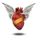 Wounded heart Royalty Free Stock Photo