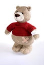 Wounded teddy bear Royalty Free Stock Photo